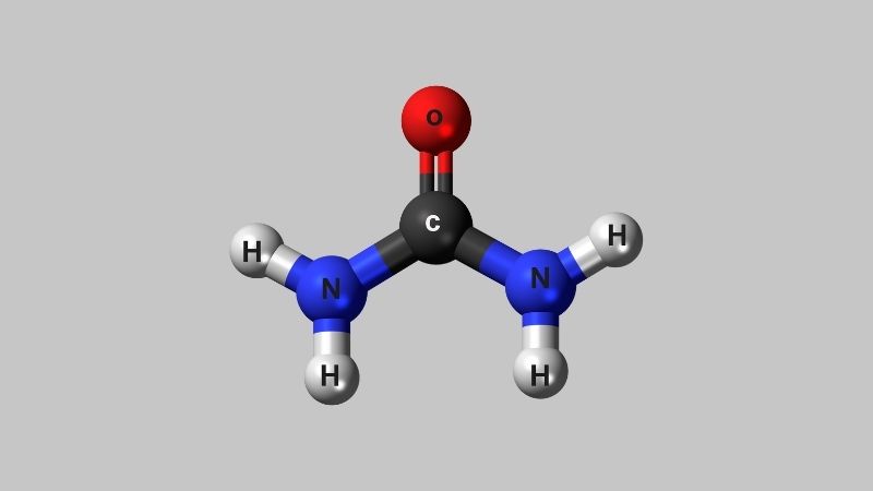 chon-nong-do-urea-phu-hop