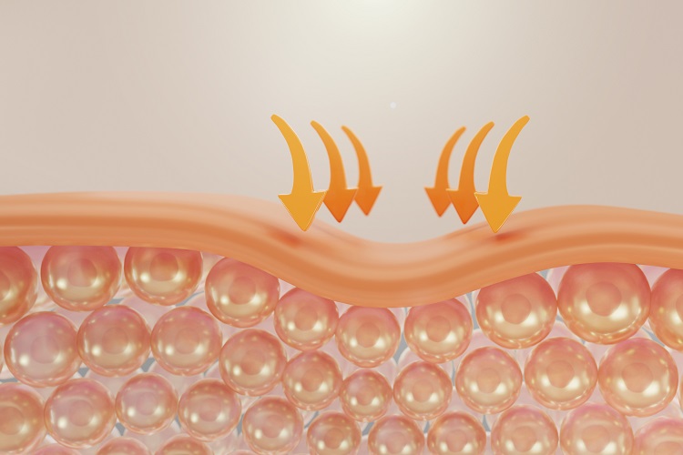 hang-rao-bao-ve-da-la-gi